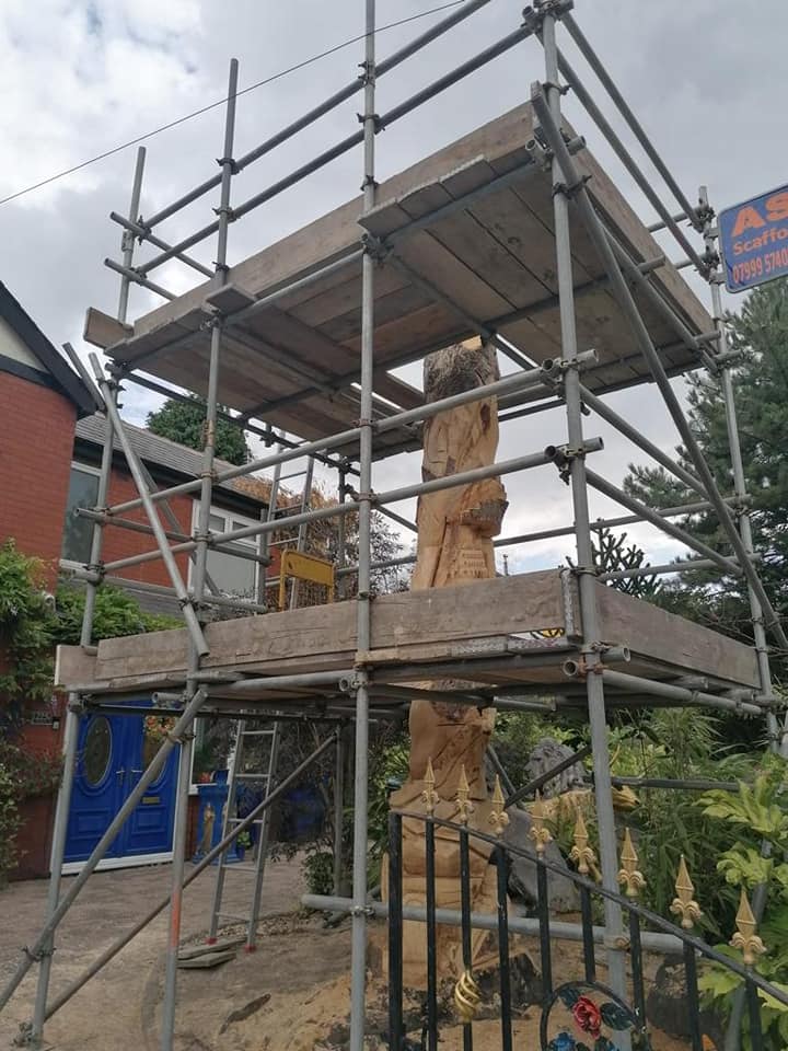 bespoke tree scaffolding
